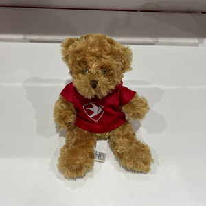 Cheltenham Town FC teddy bear in red shirt