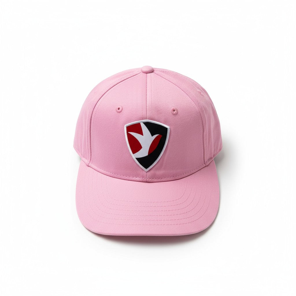 Cheltenham Town Football Club