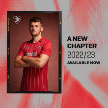 Load image into Gallery viewer, Home shirt (2023/24)